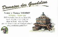 Domaine des gandelins